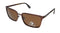Converse Men's H091 Square Sunglasses Brown