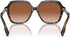 Burberry Women Sunglasses Dark Havana W/ Brown Gradient Square BE4389-300213
