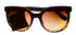 Converse Blk Tortoise Mens Sunglass Round Plastic, Gradient Lens H107