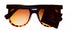 Converse Blk Tortoise Mens Sunglass Round Plastic, Gradient Lens H107